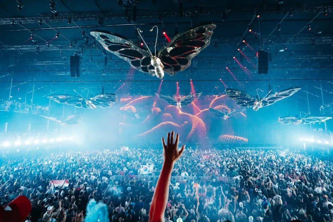 百威 x Tomorrowland，用电音节撬动年轻圈层-5.jpeg