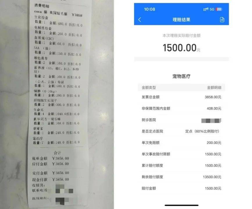 被宠物险收割，铲屎官又上了一课-4.jpeg