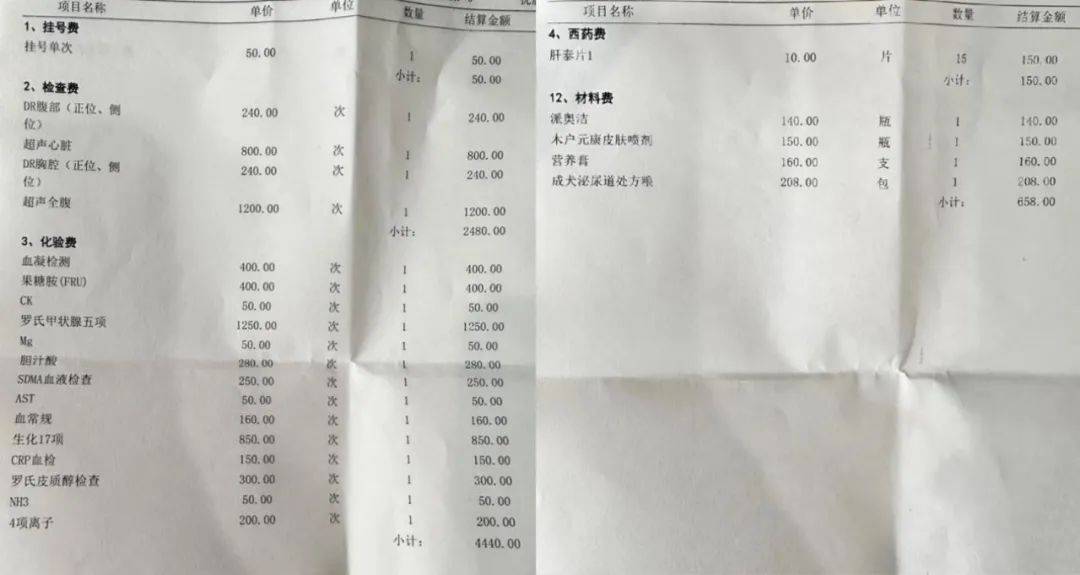 被宠物险收割，铲屎官又上了一课-1.jpeg