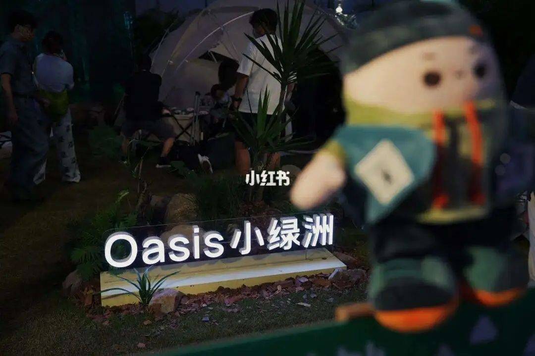 小红书既要、又要、还要-1.jpeg