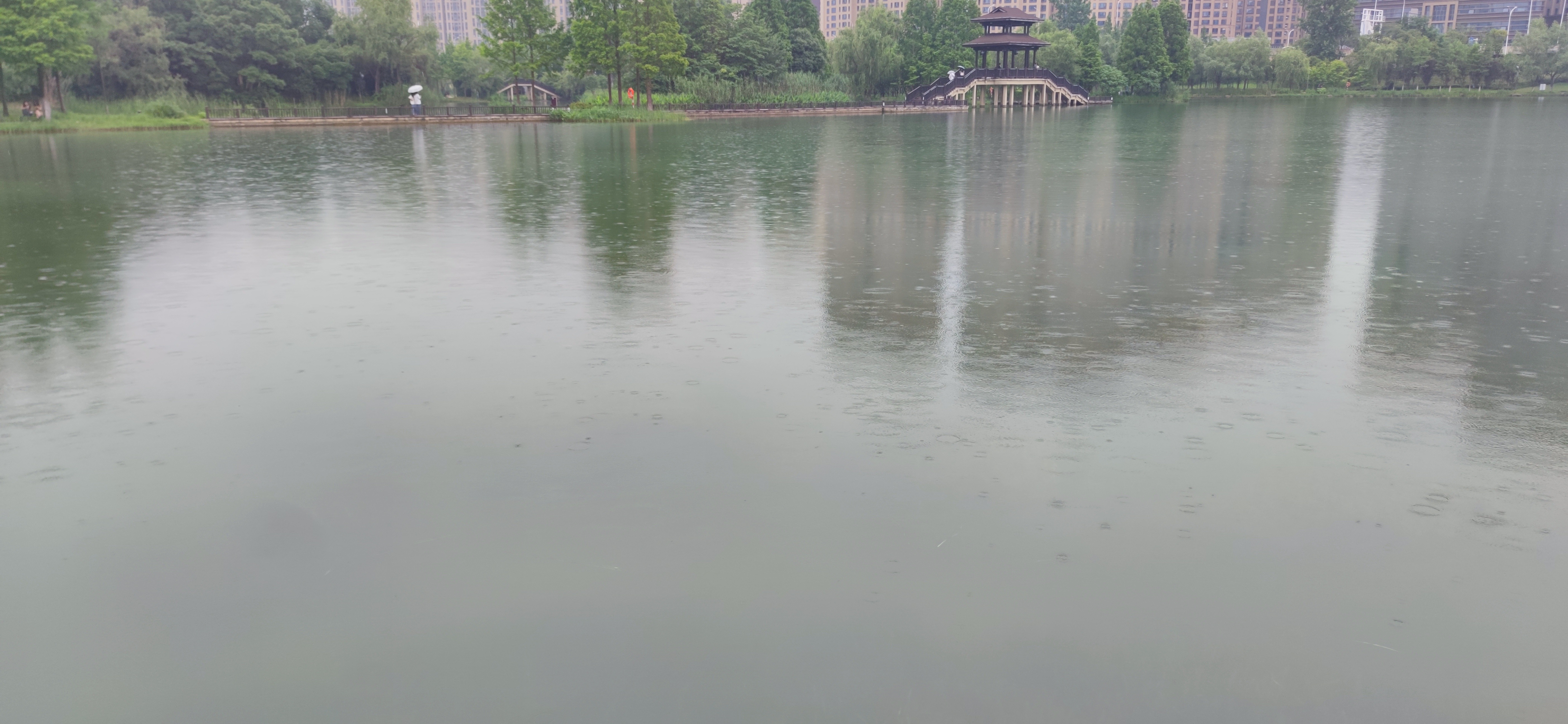 IMG_20240609_170129.jpg