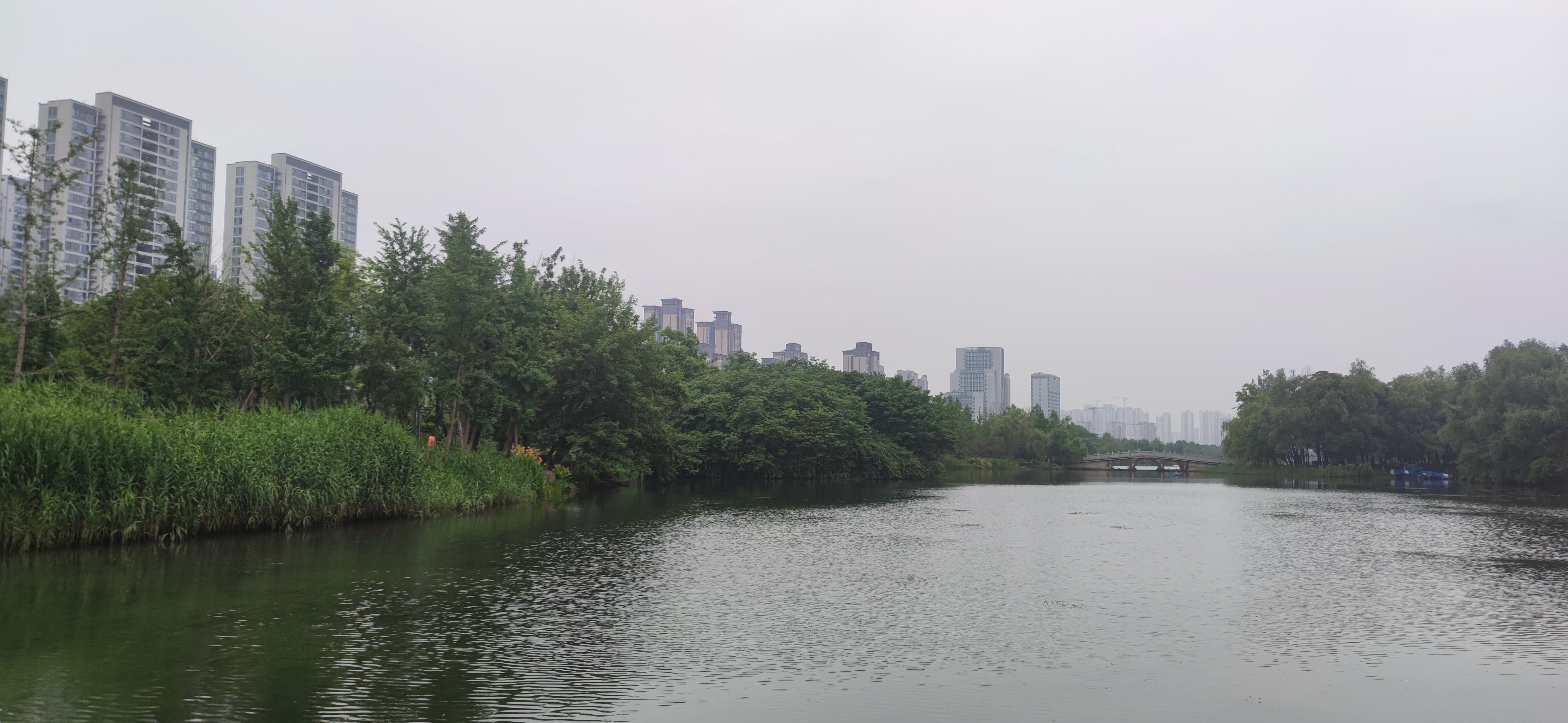 IMG_20240609_173951.jpg