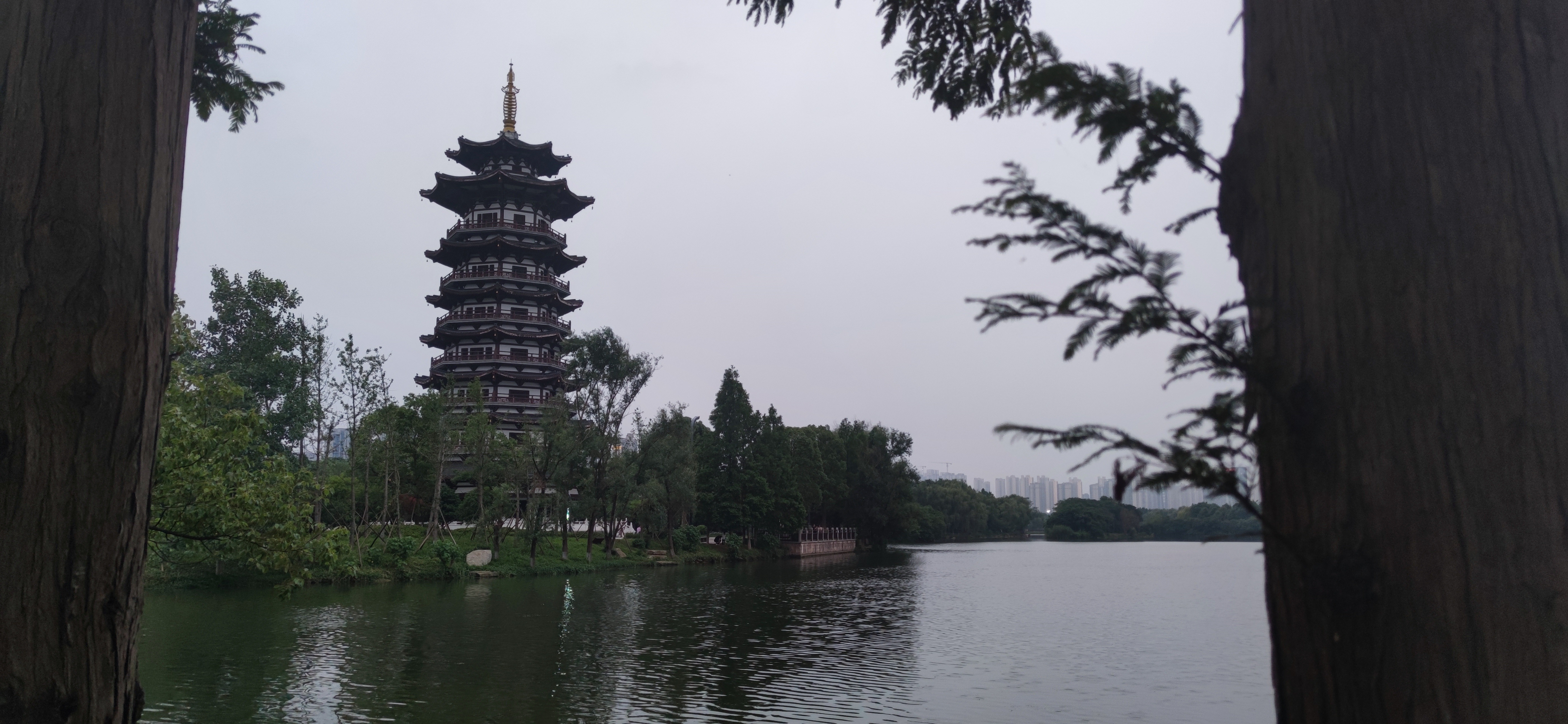 IMG_20240609_190342.jpg