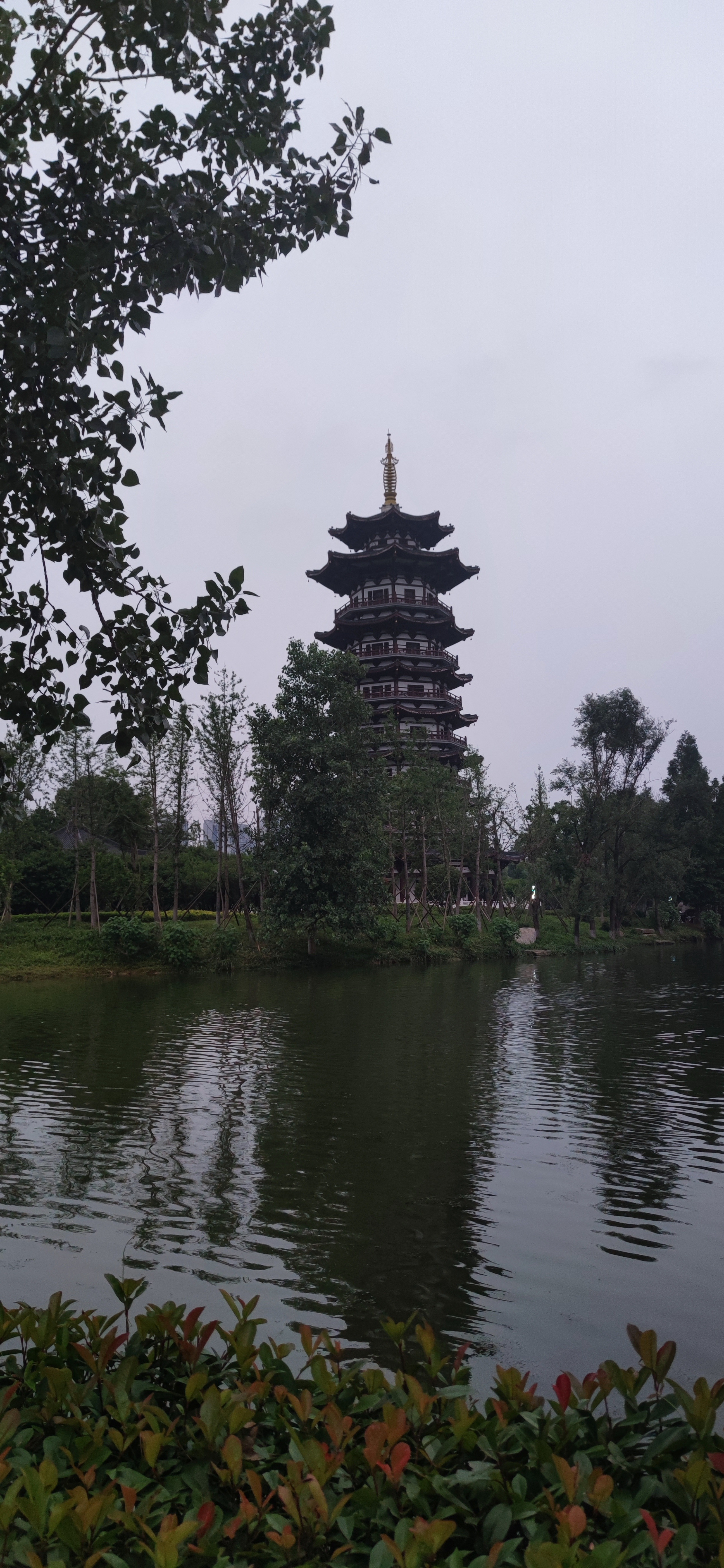 IMG_20240609_190451.jpg