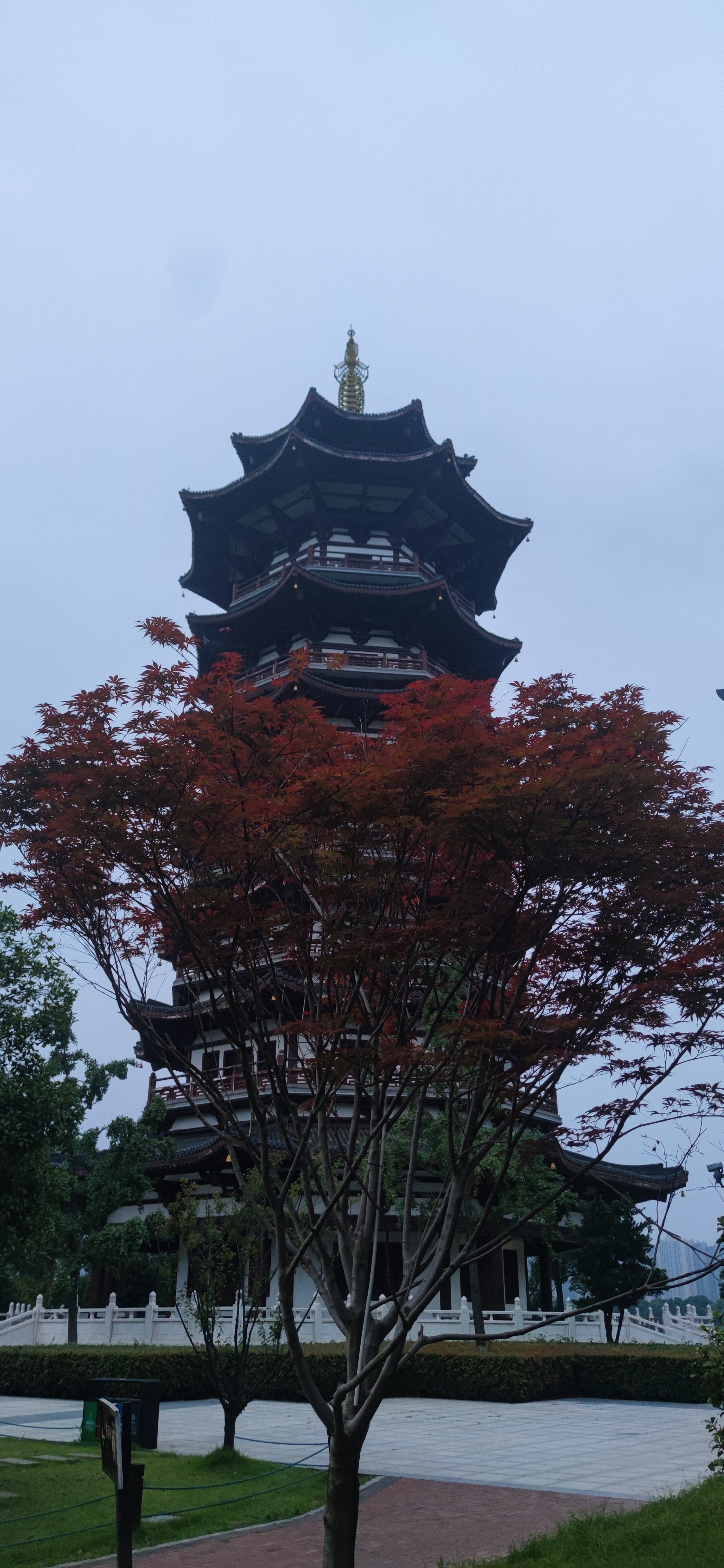 IMG_20240609_191119.jpg