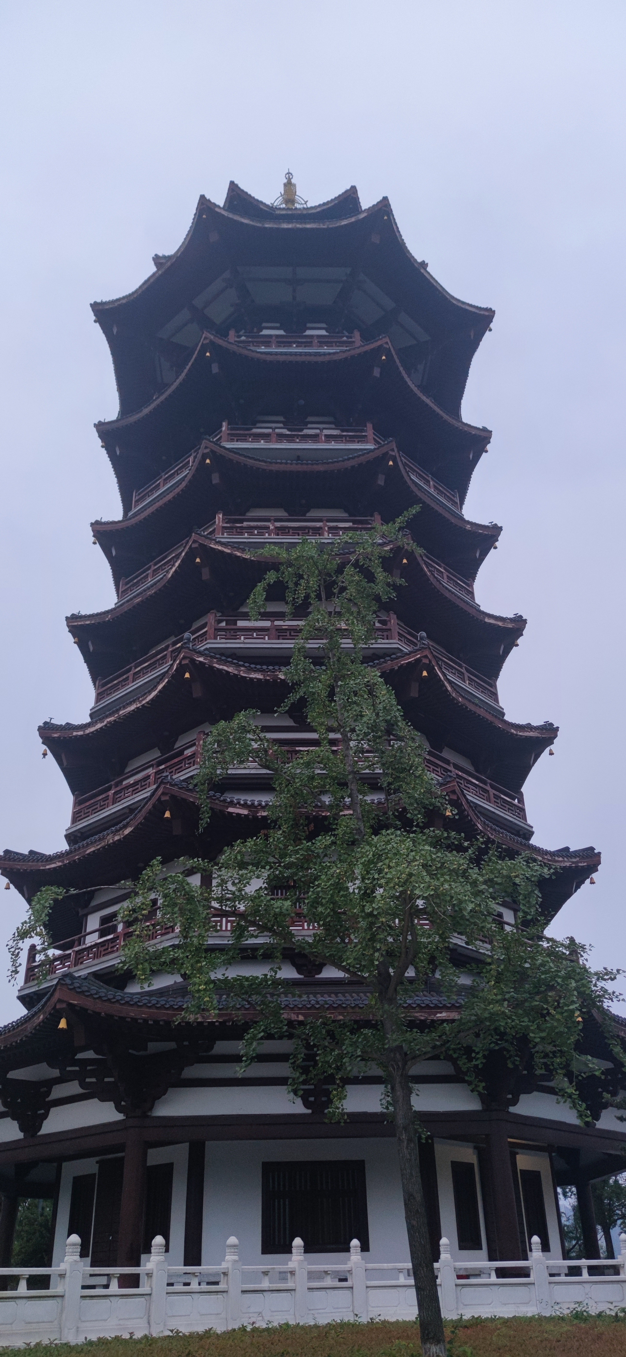 IMG_20240609_191218.jpg