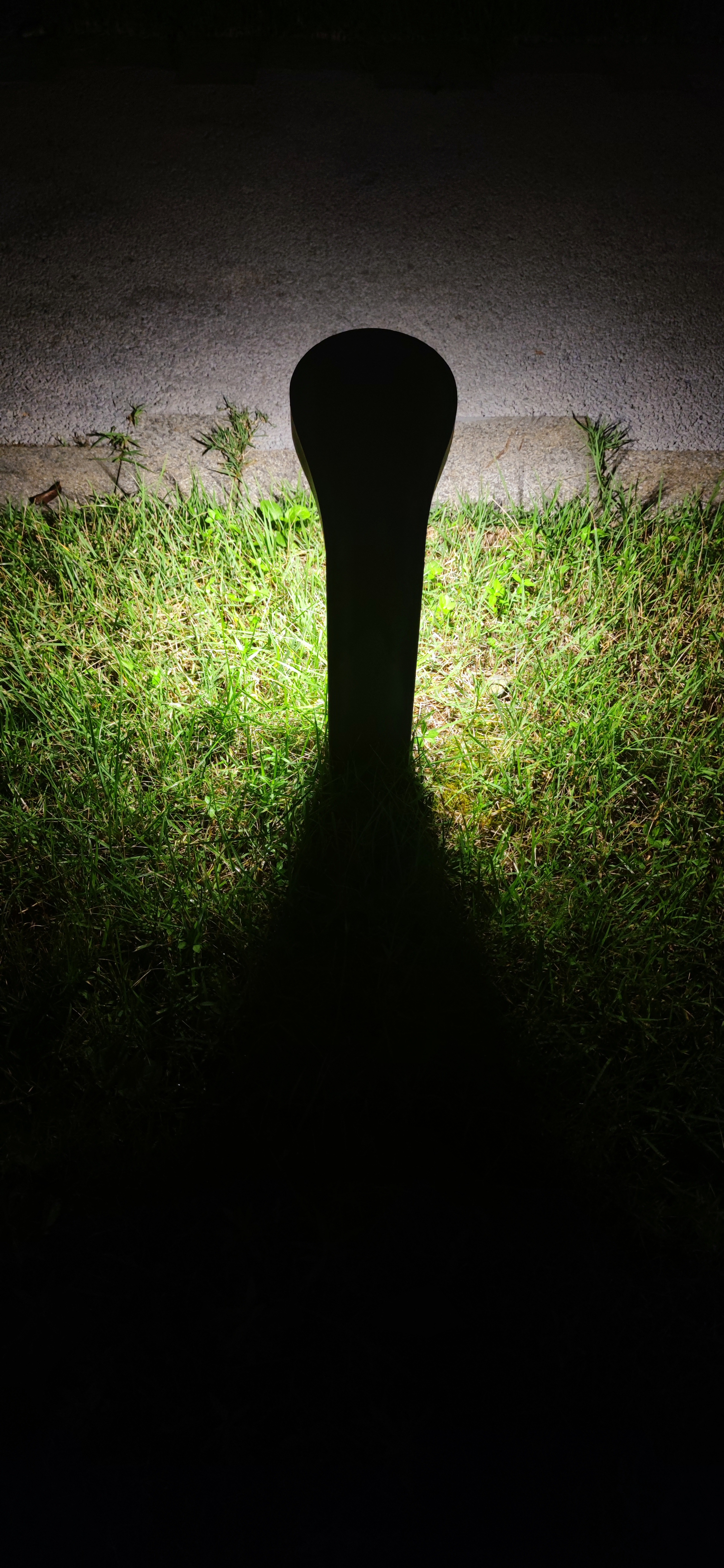 IMG_20240609_194546.jpg