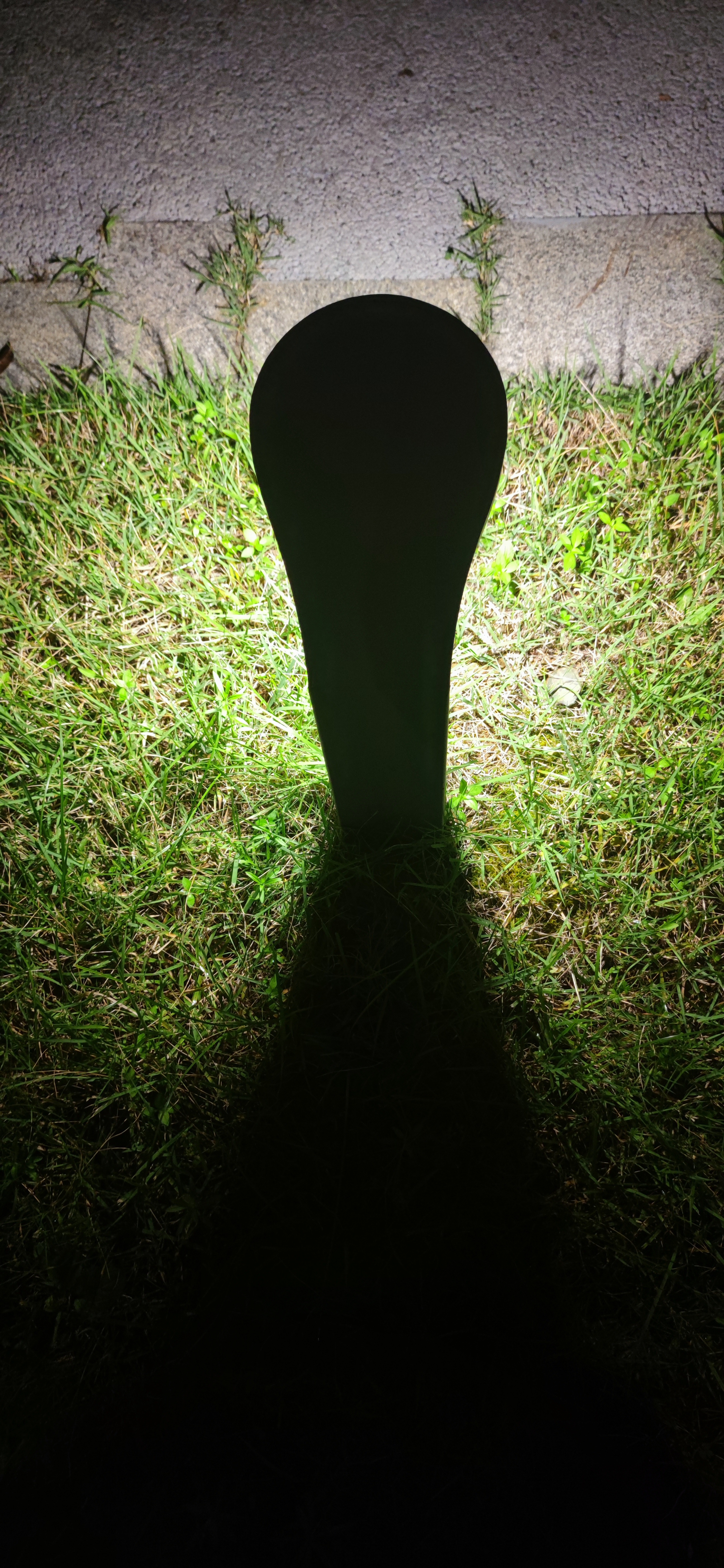 IMG_20240609_194608.jpg