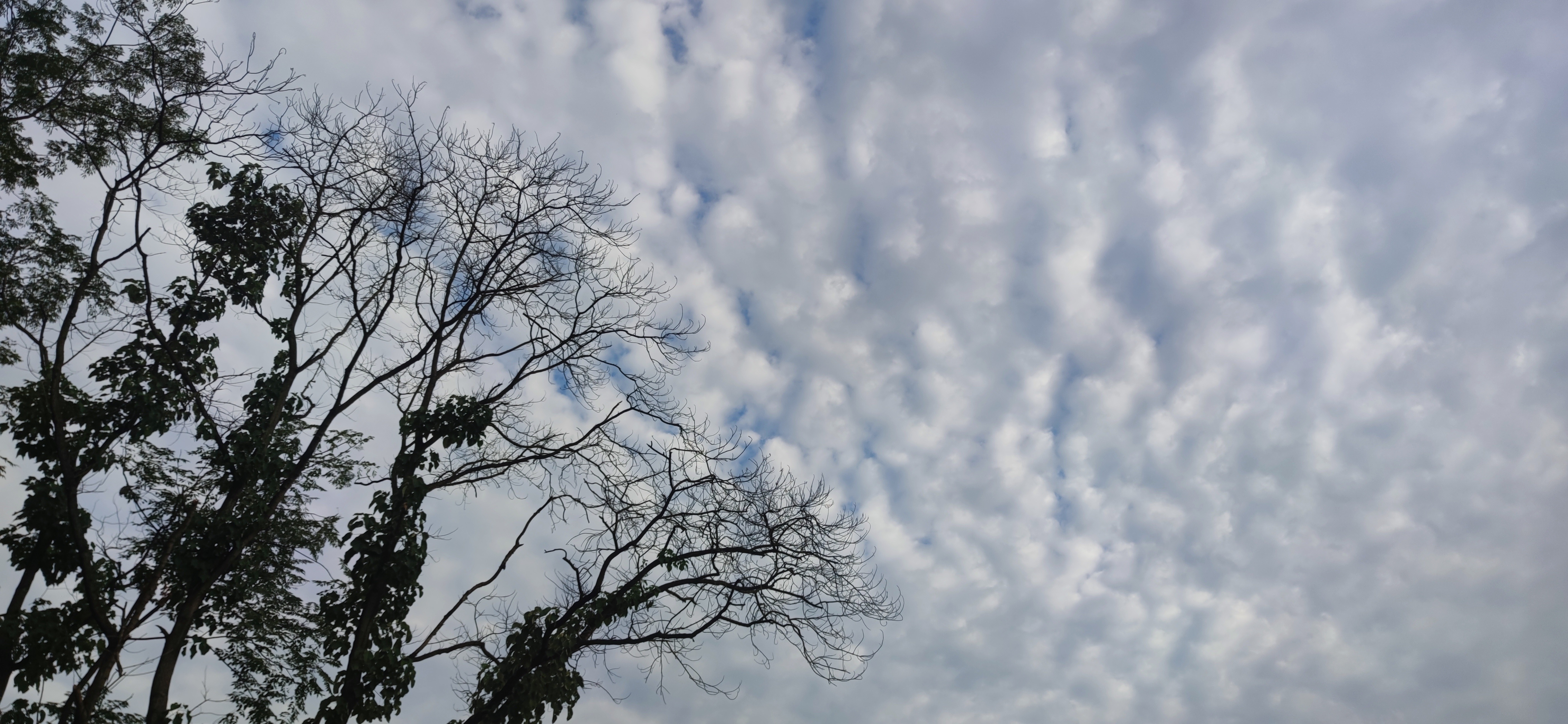 IMG_20240709_181743.jpg